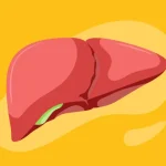 7 Superfood untuk Memperkuat Kesehatan Hati