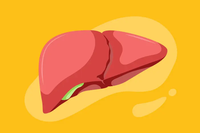 7 Superfood untuk Memperkuat Kesehatan Hati