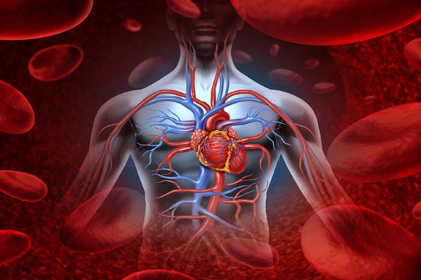 7 Tips Mengurangi Risiko Penyakit Arteri Koroner 7 Tips Mengurangi Risiko Penyakit Arteri Koroner