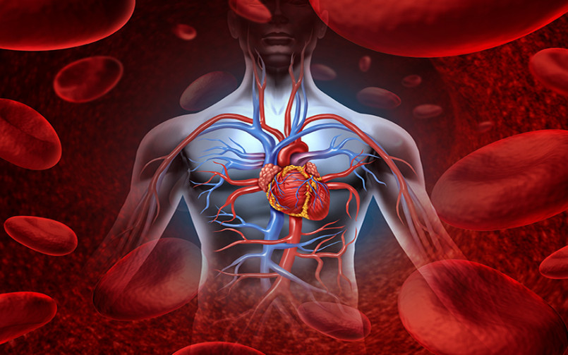 7 Tips Mengurangi Risiko Penyakit Arteri Koroner